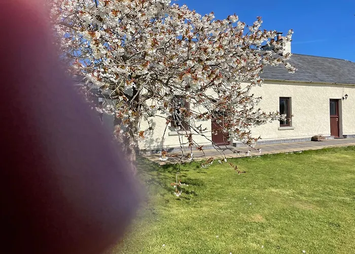 Deerpark Holiday Cottages Dairy